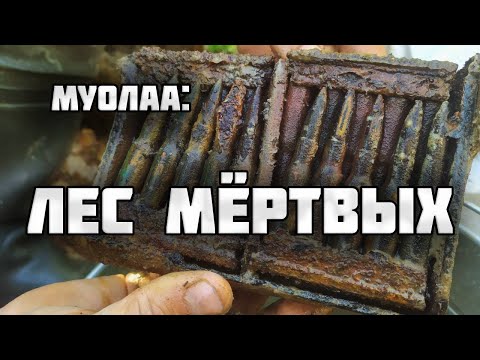 60 ПРОПАВШИХ БЕЗ ВЕСТИ В СТАРОЙ ТРАНШЕЕ/Раскопки Второй мировой войны