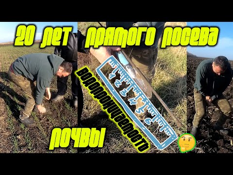 No-Till or Classic: Moisture Recharging with Direct Sowing