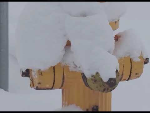 ์ธ์ด์๋ ๊ฐ์ฑ ๋
ธ๋๋ชจ์ ๋ฐ๋ผ๋ 2000๋
์ด๋ฐ ๊ด๊ณ ์๋์์
4์๊ฐ์ง๋ฆฌ~ ์นดํ์์ ํ์ด๋๊ธฐ ์ข์๋
ธ๋ ๊ตฌ๋
์ข๋ถํ๋๋ฆฝ๋๋ค์ข์์