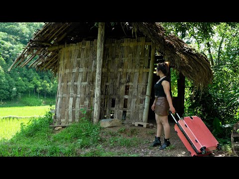CEO leaves the city for the forest to restore an abandoned old house