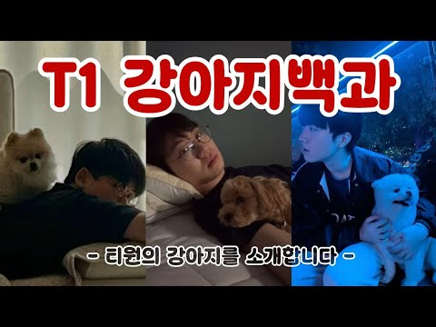 Introducing the puppies of T1 🐶 | Choi Morning | Lee Mak-dung | Gu Ha-byeol-dal