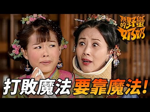 "News Queen 2" starring Bosco Wong | A battle of wits between mother-in-law and daughter-in-law! ...
