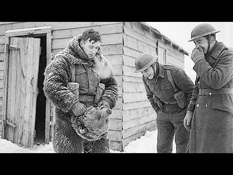 They Laughed at a Canadian's "Stupid" Disguise— Until He Snuck Into a German Camp and Freed 800 Jews