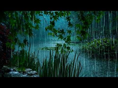 Ease Anxiety & Stress with Soft Rain on Forest Lake | Rain ASMR to Deep Sleep