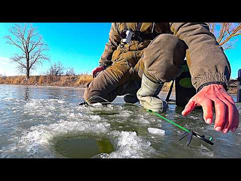 HE WON'T LET YOU SIT DOWN - A CONVEYOR BELT OF BITES!!! WINTER FISHING FOR CRUCIAN CARP