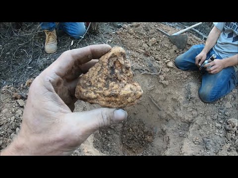 19 OUNCE MONSTER GOLD NUGGET
