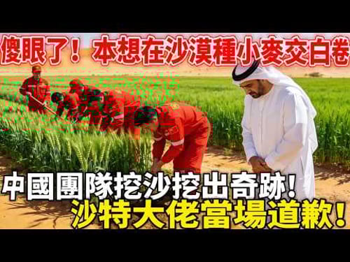 血虧百萬!中國工程師沙烏地種小麥全翻車,挖沙子竟破解全球60年沙漠難題,聯合國都驚了,全世界搶著學