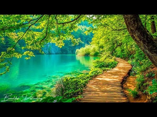 Music heals the heart and blood vessels 🌿 Soothes the nervous system and pleases the soul #5