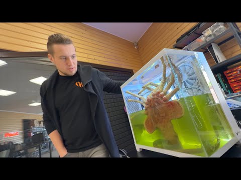 Самый жуткий ПК, который я видел! 😱 #HappyPC