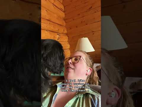 Andi and I are scheming as we speak #cavalierkingcharles