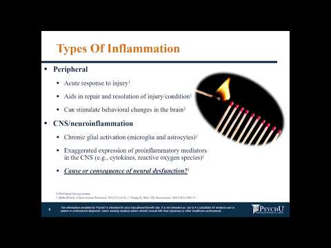 Psychoneuroimmunology: Immune System and Neuroinflammation Basics Part 1 in PNI Series