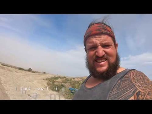 Nala cat finds a puppy 🇬🇪➡️🇦🇿 VLOG#11