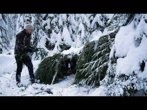 Building a Shelter to Survive HEAVY SNOW: 3 Days Bushcraft Adventure in a Frozen Forest