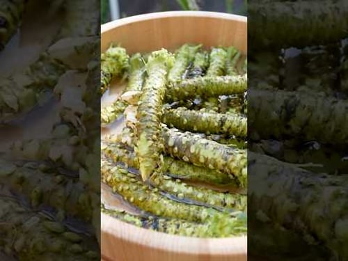 Wasabi Achievement Unlocked | #Umamigarden | #garden #japan #gardeningtips