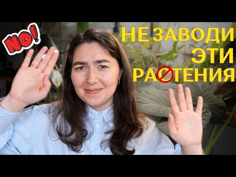 The most unbearable and capricious plants according to MY FOLLOWERS 🪴