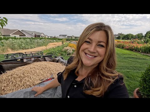 Harvesting Our Wheat & Turning it Into Flour! πΎβοΈπ©βπ³ // Garden Answer