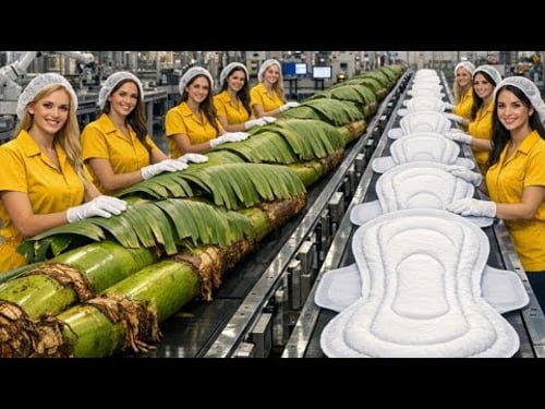 Inside the Banana Stem Factory – (Full Process) How Luxury Pads Are Made