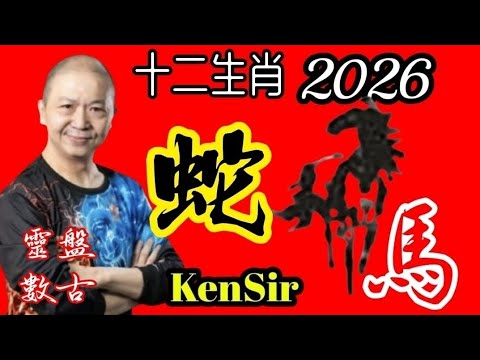 🐍㊙️🦄💖【馬年十二生肖】|2026年|生肖蛇|運程|#電話號碼昇運 #八字 #十二生肖 #乙巳 #丁巳 #己巳 #辛巳 #癸巳#2026馬年運程 #KenSir