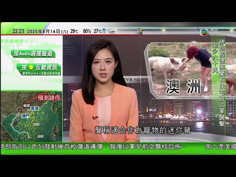 無綫TVB 1000 一小時新聞|澳洲不法商人用普通豬冒充迷你豬作寵物出售 幾年間長成三百公斤大肥豬|印度空難三個月內發表調查報告 家屬不滿認領遺體過程太慢|羅馬仕一款外置充電器易發生爆炸內地多校禁用