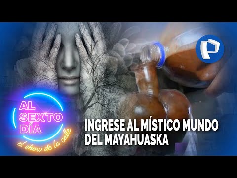 Bajo su propio riesgo: Ingrese al místico mundo del Mayahuaska