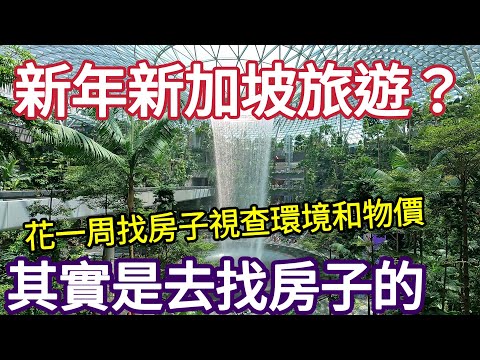 結婚十年從名古屋到上海到東京,這次是新加坡,移住前民生物價視察,小販中心,巿場,新加坡美食