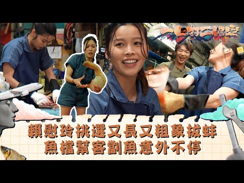 一日打工限定|賴慰玲挑選又長又粗象拔蚌 魚檔幫客劏魚意外不停|娛樂 搞笑 兼職|TVB綜藝