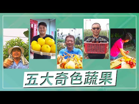草地狀元-五大奇色蔬果,黑蕃茄、紅芭樂、黃色檸檬、白蓮霧和白枇杷,超級口味,你有吃過嗎!?(2020.07.13播出)