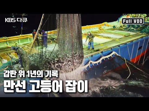 물 반 고등어 반! 만선 고등어잡이 밀착 취재 | 해양특별기획 고등어 1부 “만선 고등어 잡이 1년의 기록” (KBS 141105 방송)