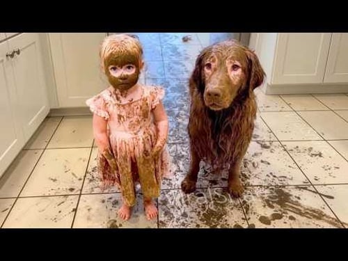 When Your Baby Is Raised by a Dog ❤️