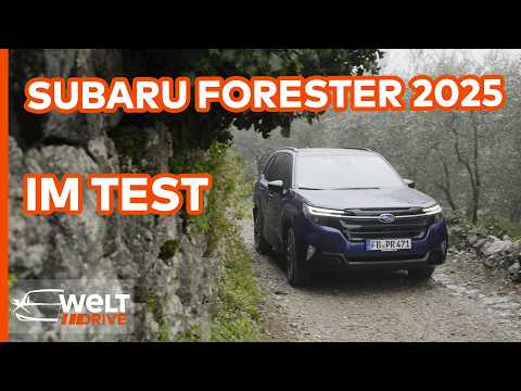SUBARU FORESTER: Treu geblieben und doch modern - Gegenentwurf zum SUV-Mainstream! | WELT DRIVE