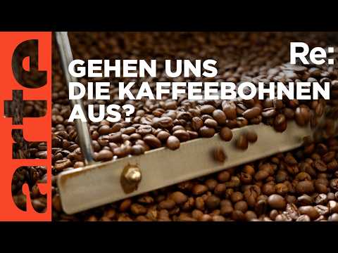 Kaffee mit Zukunft | ARTE Re: