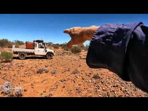 Hard Rock v Alluvial