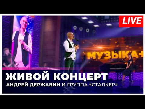 Андрей Державин - live на Звезда ТВ
