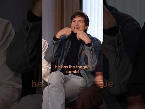 Ashton Kutcher has an unhinged beauty regime 😬 #movie #interview #trendingshorts