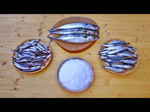 Garum - How to Make Garum