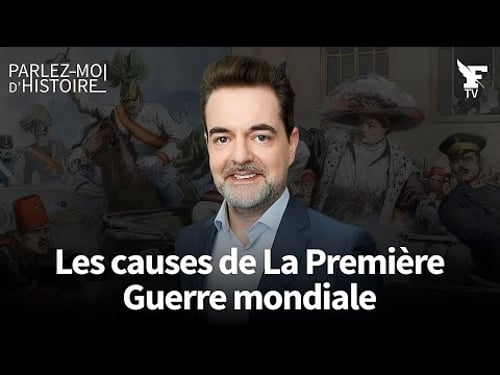 Juillet 1914 : cet engrenage qui a conduit à la Première Guerre mondiale