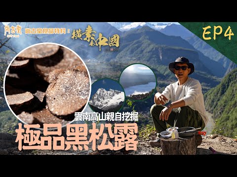 雲南隱世雲海、怒江秘道 尋找野生極品黑松露 |橫素全中國 | EP4| 敖嘉年 | HOY TV