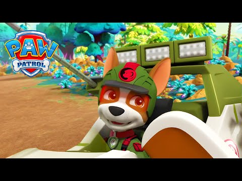 Jungle Pups! 🦛 | Mighty Pups Official Channel | PAW Patrol