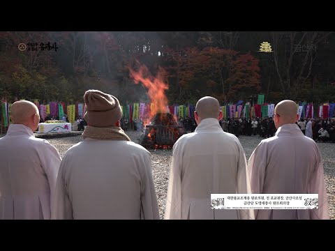 대한불교조계종 원로의원 금산사조실 금산당 도영대종사 원로회의장 다비식_20251124