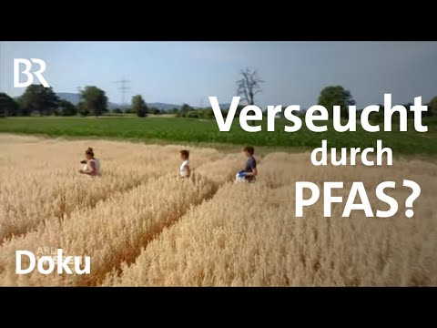PFAS – Gift für die Ewigkeit | Wie abhängig sind wir? | Gefährlich und praktisch | ARD Wissen | BR