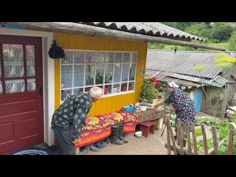 60 Years of Love in the Carpathians ποΈ | Village Life of an Elderly Couple π΅π΄