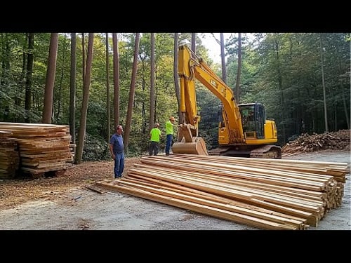Couple Builds OFF-GRID CABIN in the Michigan Forest | Start to Finish by @OffgridwithJayandJen