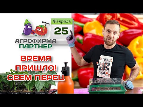 Время пришло! Сеем перец | #перец #огород #рассада