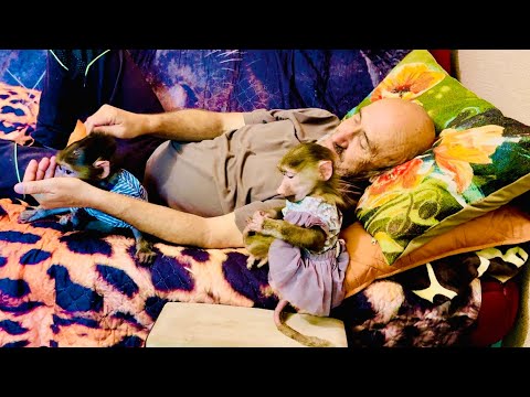 Маня становится НАСТОЯЩИМ ГАМАДРИЛОМ, у нее тоже стал чернеть носик)))