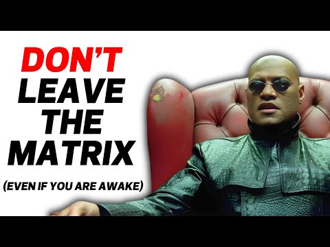 What If Escaping The Matrix Was A Trap?