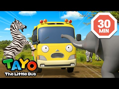 ποΈπ Kindergarten Bus Field Trip Stories! l Tayo S7 English Episodes | Tayo the Little Bus