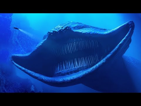 Quando Cientistas Descobrem Algo Na Fossa Das Marianas