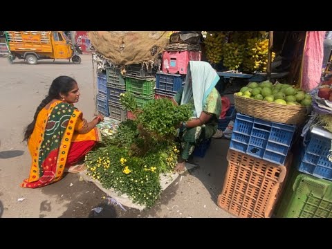 మనం పుట్టింటికి పోతే ఇట్టాగే ఉంటది@sravanamegham