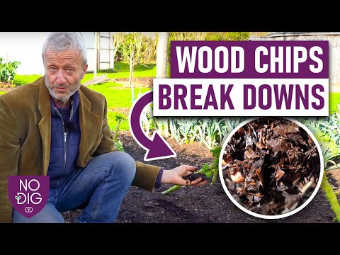 Unlocking the Potential of Wood Chips: 5 Creative Ways to Put Them to Use