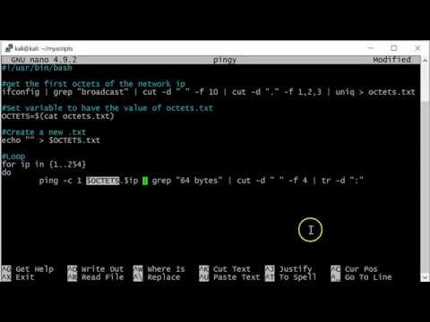 Bash Script to Automatically Detect and Scan Your Local Network!